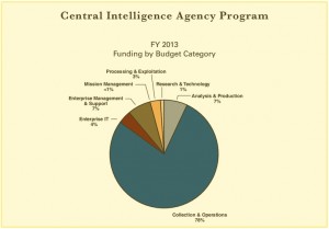 CIA u fiskalnoj 2013. godini, razlom prema proračunskim kategorijama