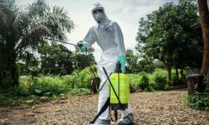 Dragovoljac sterilizira tijela preminulih žrtava ebole prije pogreba - mjesto Kenema, Sierra Leone