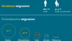 Struktura migranata prema MUP RS