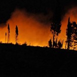 Jučer oko 21.30 izbio je požar na brdu Gorica, na samo oko kilometar zračne linije od centra Podgorice