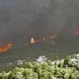 Požar s područja Tomislavgrada širi se prema granici s Hrvatskom