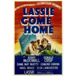 Lassie se vraća kući!