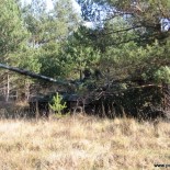 Njemačka – privremeni spas za slovenske tenkove