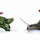 Puž i kornjača usred utrke u naoružanju