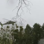 VIDEO – MUP RH – Vježba evakuacije osoblja Veleposlanstva SAD u RH