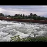 VIDEO – Kad se teglenica popriječi na Savi