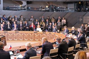 Anušić od Bruxellesa do Munchena