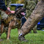 Međunarodni NATO K9 Forum u Dugom Selu