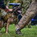 Međunarodni NATO K9 Forum u Dugom Selu